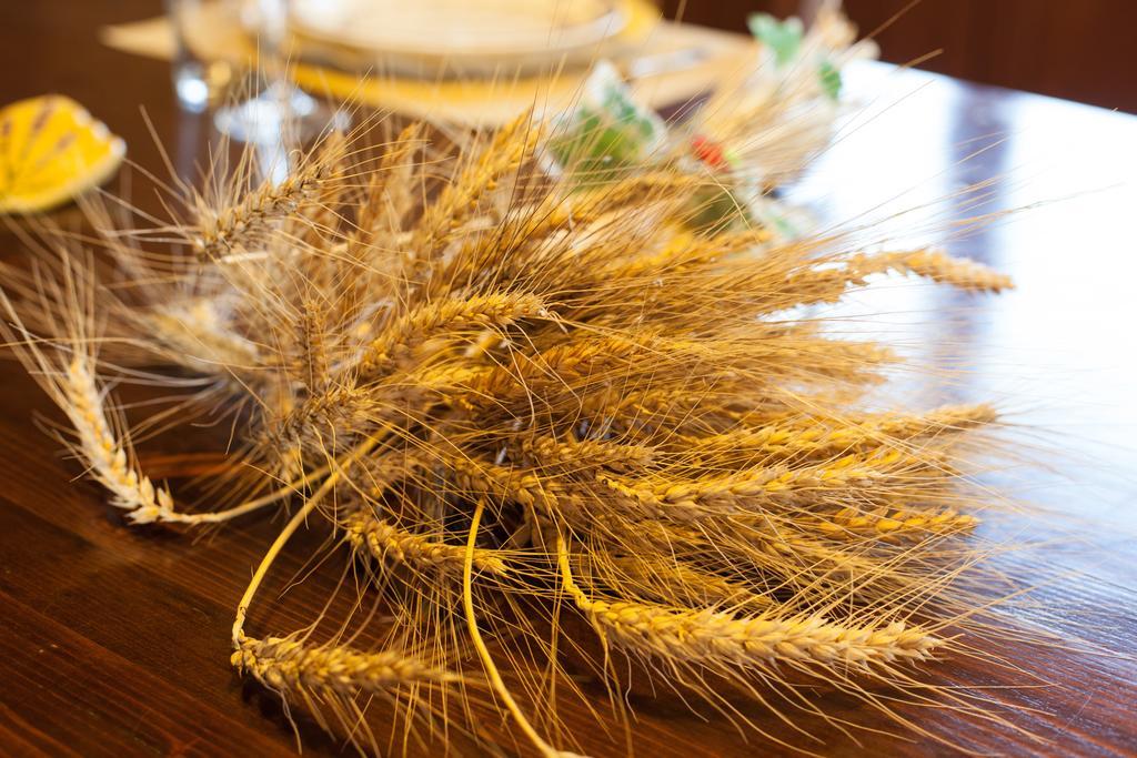 Bio Agriturismo Pratini Monte Lopio ภายนอก รูปภาพ