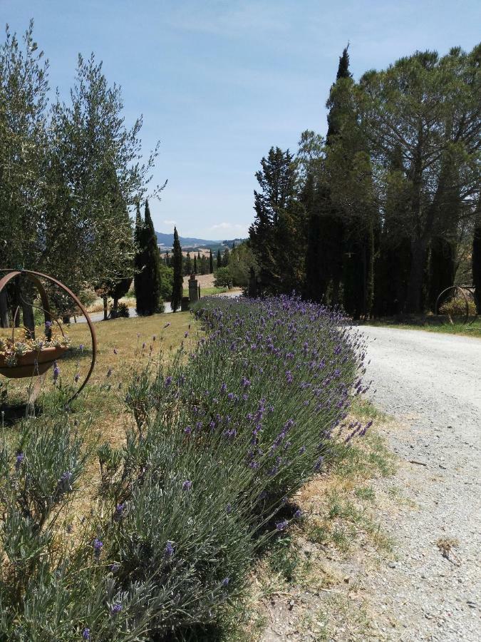 Bio Agriturismo Pratini Monte Lopio ภายนอก รูปภาพ